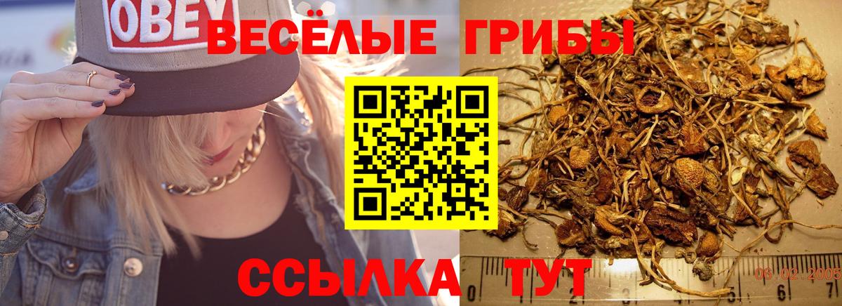 Псилоцибиновые грибы Psilocybe  закладка  Галлюциногенные грибы Psilocybine cubensis  Крымск  Вход с VPN 